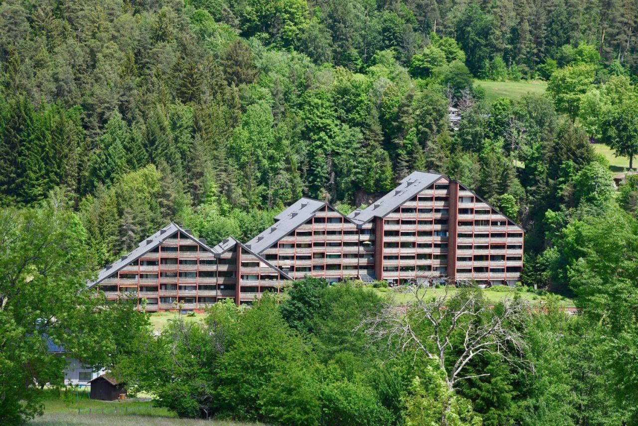 Appartement Vogelkoje Nummer 35 Baiersbronn Exteriér fotografie